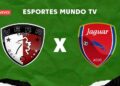 Vera Cruz x Jaguar